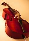 cello photo
