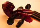 string ensemble photo
